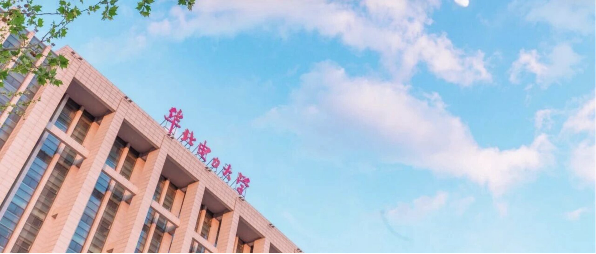 2026.08.31 两地国际全民牛