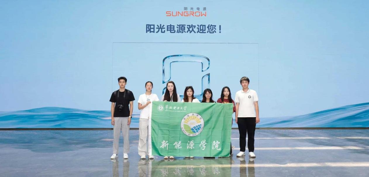 深入新能源龙头企业